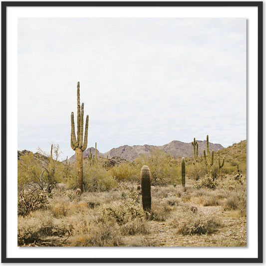 High Desert by Wesley and Emma Teague by Four Hands. Made from acrylic glazing in a modern style.