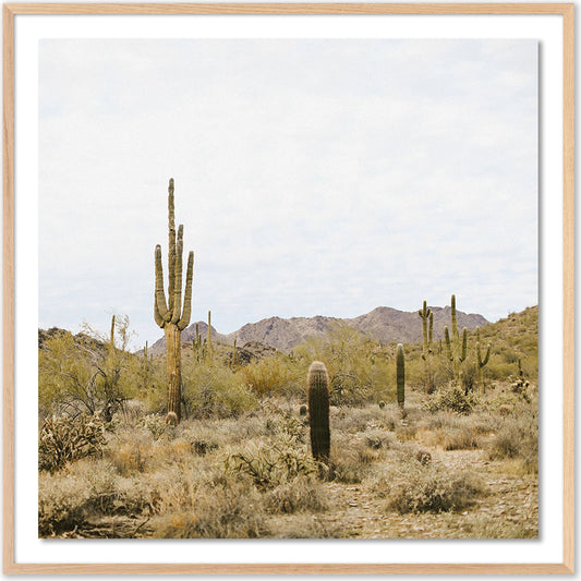 High Desert by Wesley and Emma Teague by Four Hands. Made from acrylic glazing in a modern style.