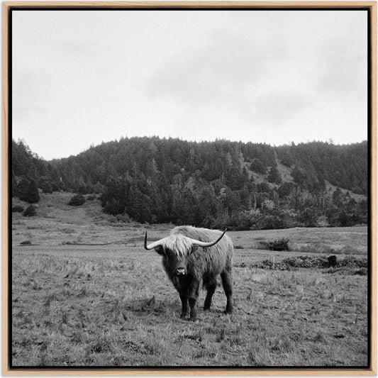 Highlander / Elk, CA by Wesley and Emma Teague by Four Hands. Made from unique in a modern style.
