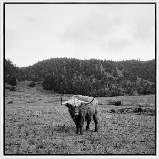 Highlander / Elk, CA by Wesley and Emma Teague by Four Hands. Made from unique in a modern style.