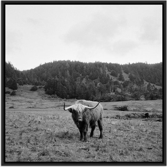 Highlander / Elk, CA by Wesley and Emma Teague by Four Hands. Made from unique in a modern style.