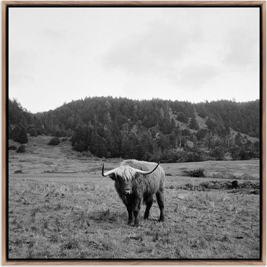 Highlander / Elk, CA by Wesley and Emma Teague by Four Hands. Made from unique in a modern style.