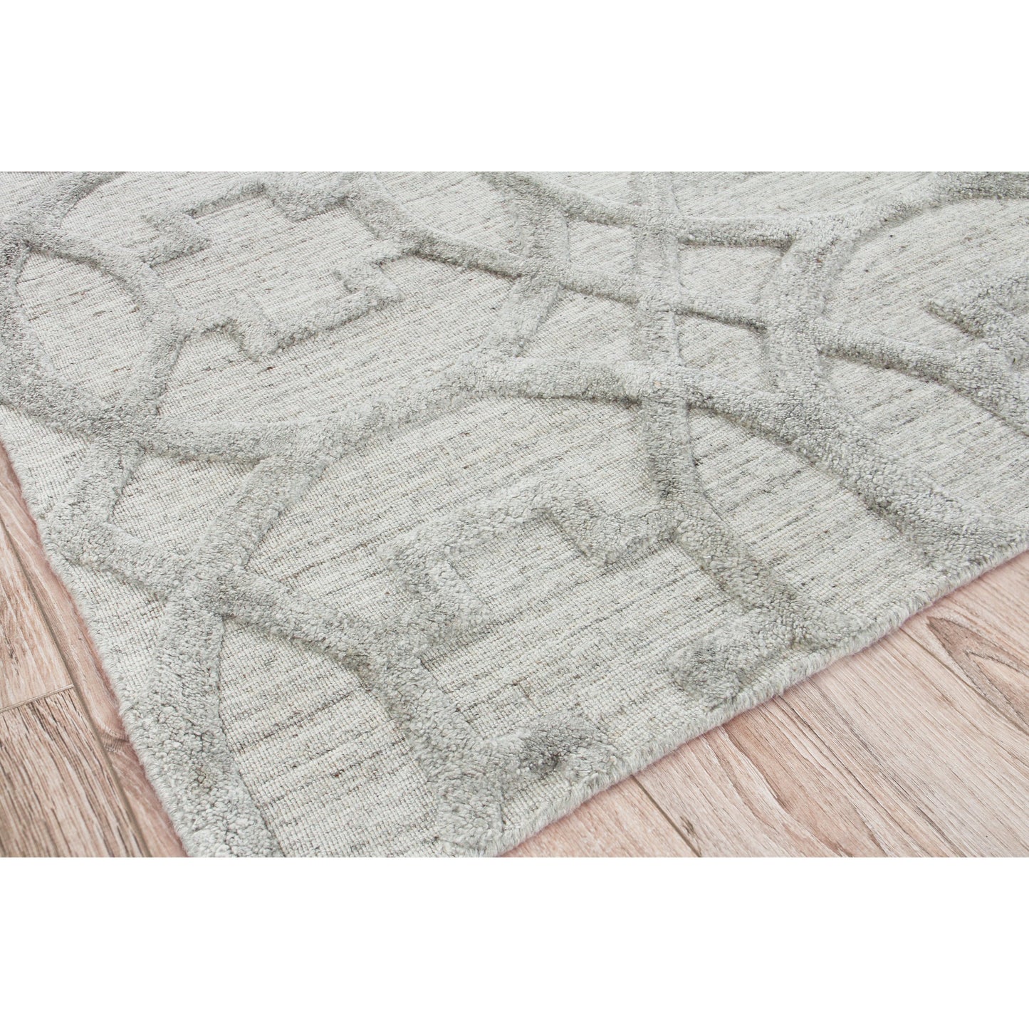002 SI-1829966,SI-1829967,SI-1829968,SI-1829969,SI-1829970,SI-1829971 | Closeup | Windsor Rug - Light Silver by Exquisite Rugs in light silver. Made from wool, bamboo silk in a unique style.