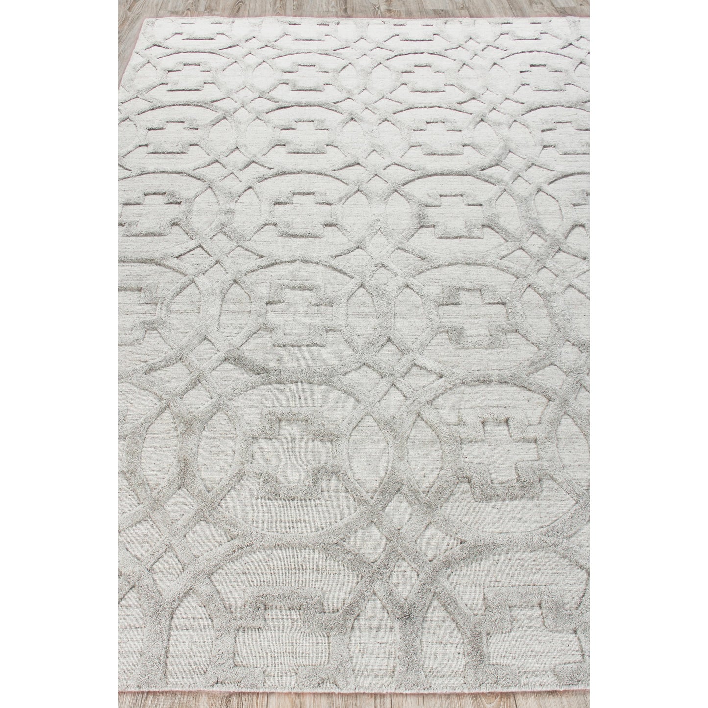003 SI-1829966,SI-1829967,SI-1829968,SI-1829969,SI-1829970,SI-1829971 | Closeup | Windsor Rug - Light Silver by Exquisite Rugs in light silver. Made from wool, bamboo silk in a unique style.