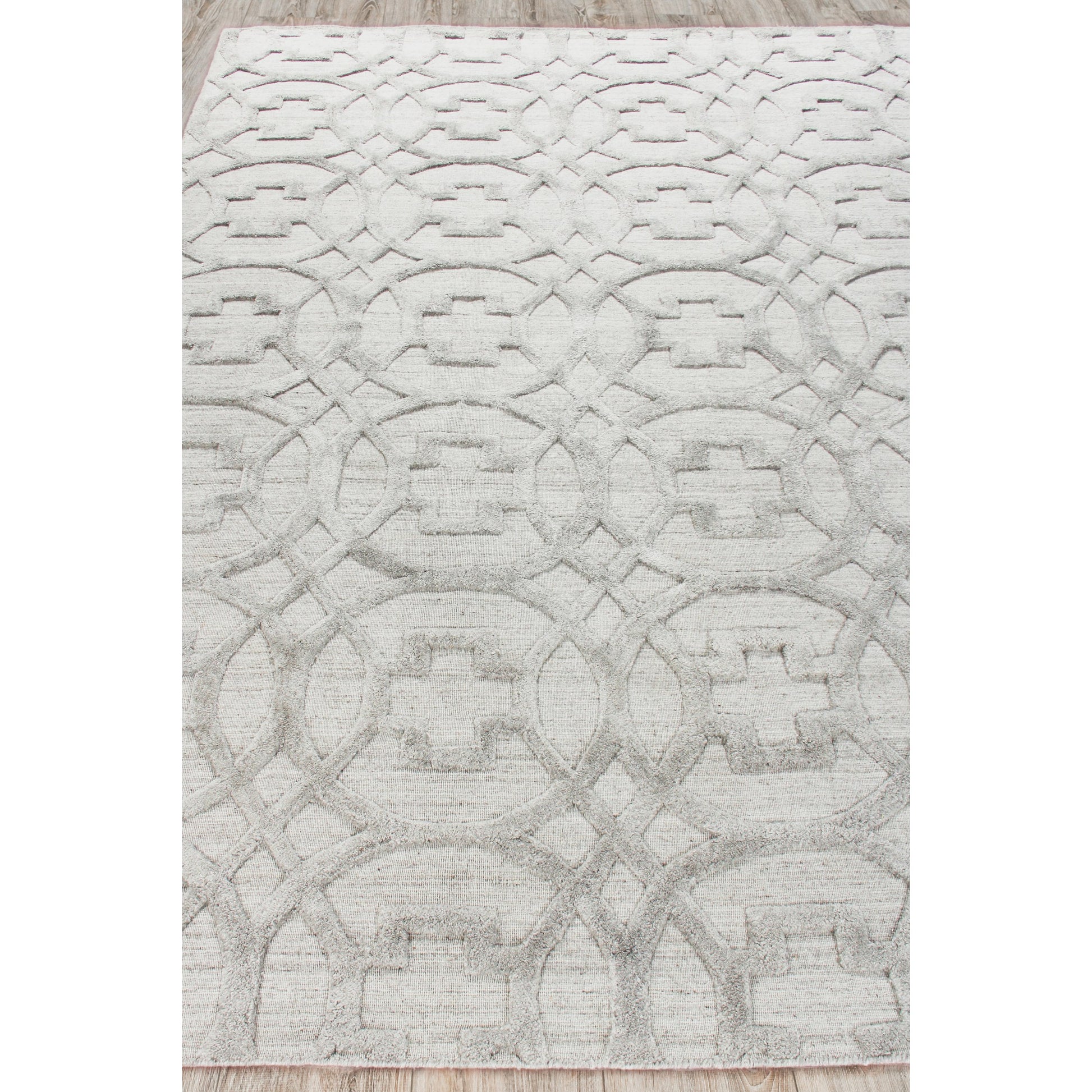 Windsor Rug - Light Silver by Exquisite Rugs in light silver. Made from wool, bamboo silk in a unique style.
