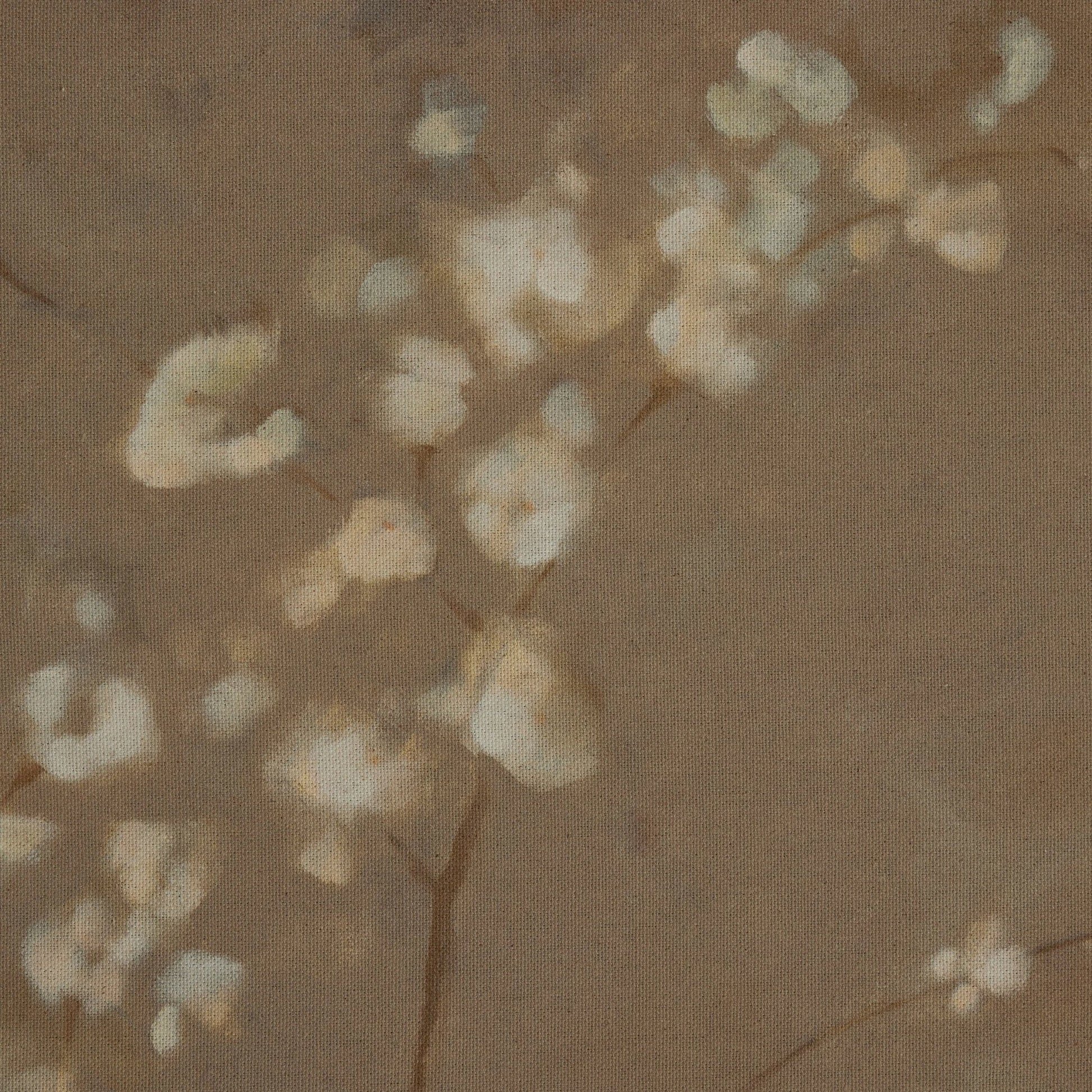 Sakura by Jess Engle by Four Hands. Made from raw canvas in a modern style.