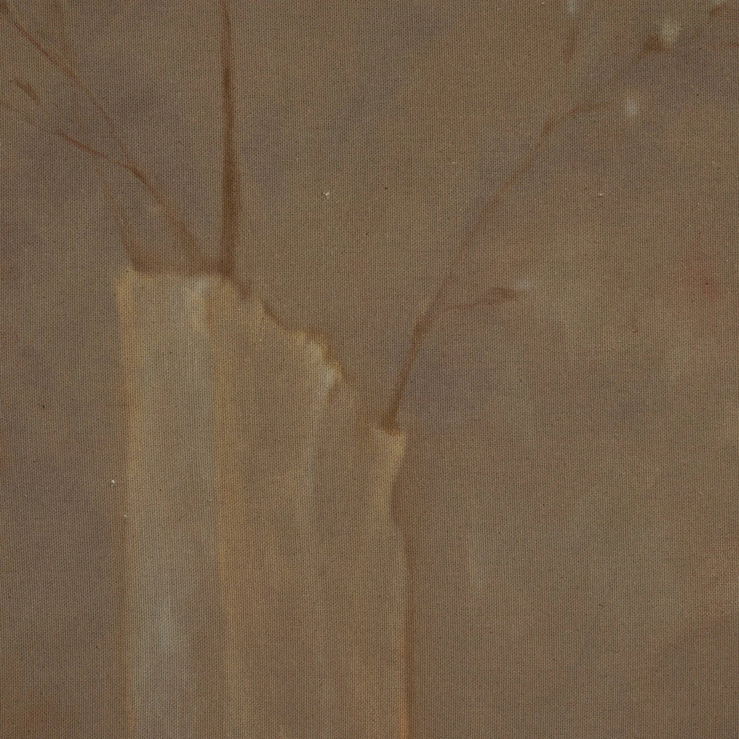 005 SI-2137076,SI-2542371 | Closeup | Sakura by Jess Engle by Four Hands. Made from raw canvas in a modern style.