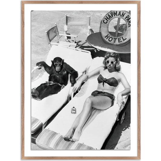 Woman Sunbathing with Chimpanzee by Getty Images by Four Hands. Made from acrylic glazing in a modern style.