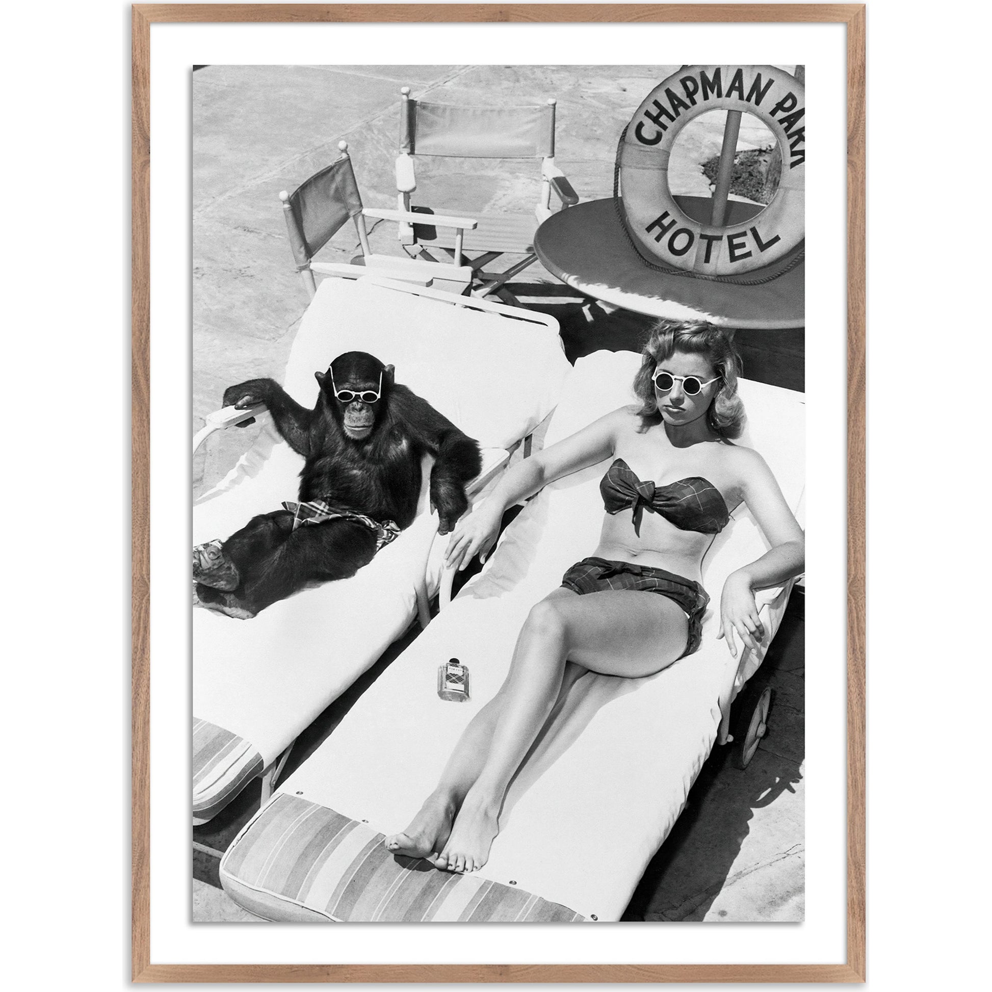 Woman Sunbathing with Chimpanzee by Getty Images by Four Hands. Made from acrylic glazing in a modern style.