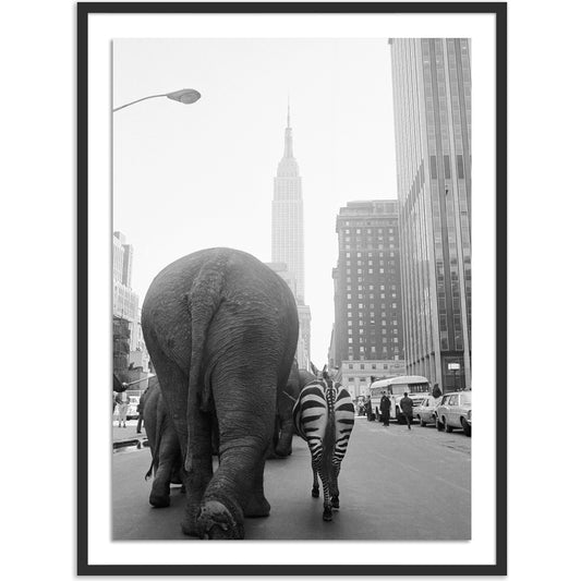 Circus Animals on 33RD St by Getty Images by Four Hands. Made from acrylic glazing in a modern style.
