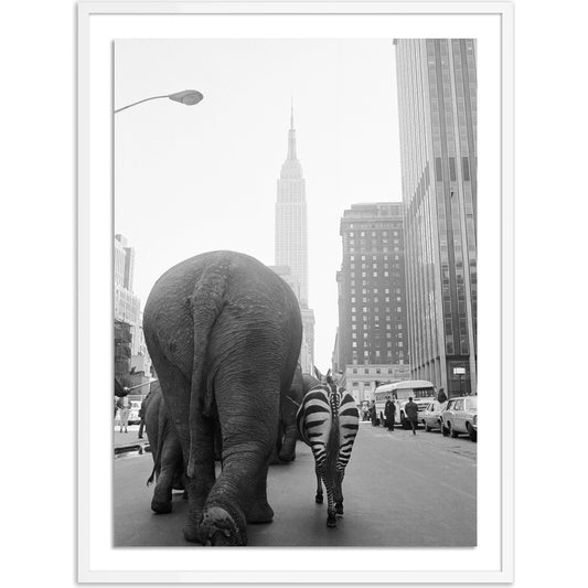 Circus Animals on 33RD St by Getty Images by Four Hands. Made from acrylic glazing in a modern style.