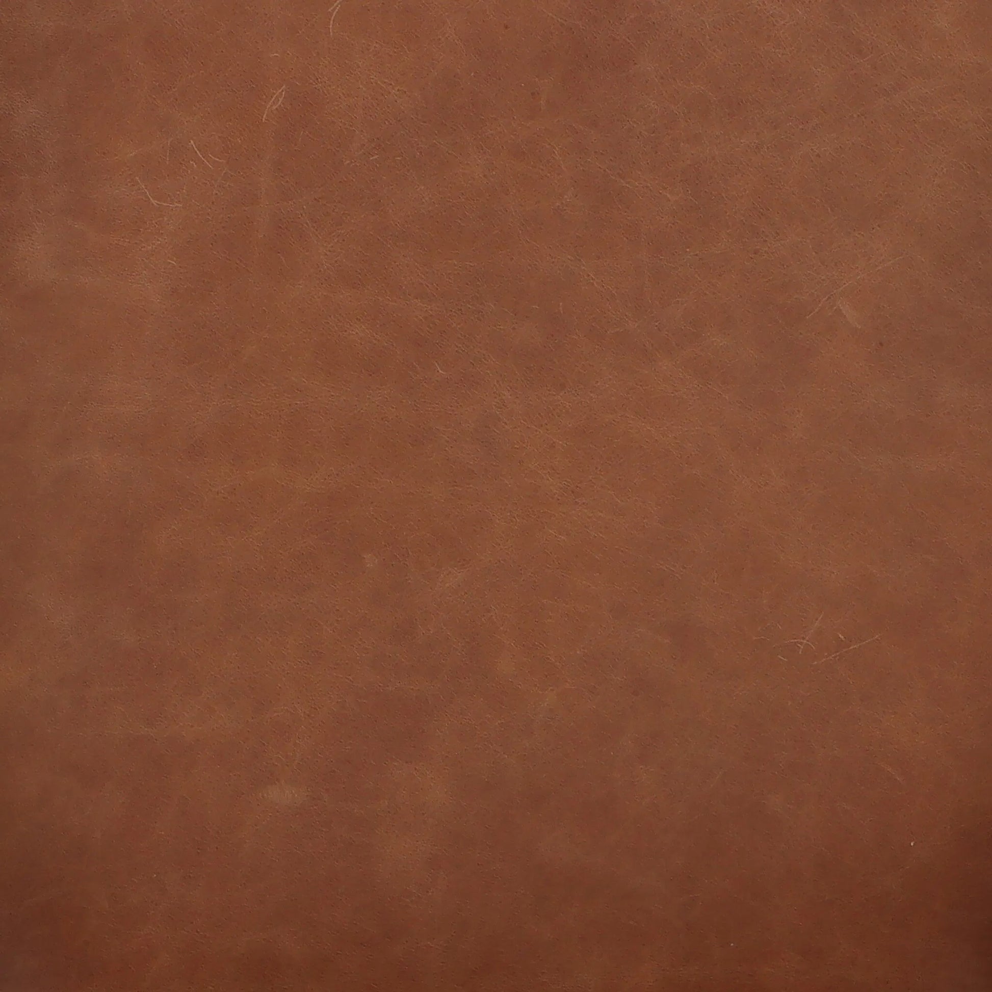 Dane Dining Chair by Four Hands. Made from unique in a traditional style.