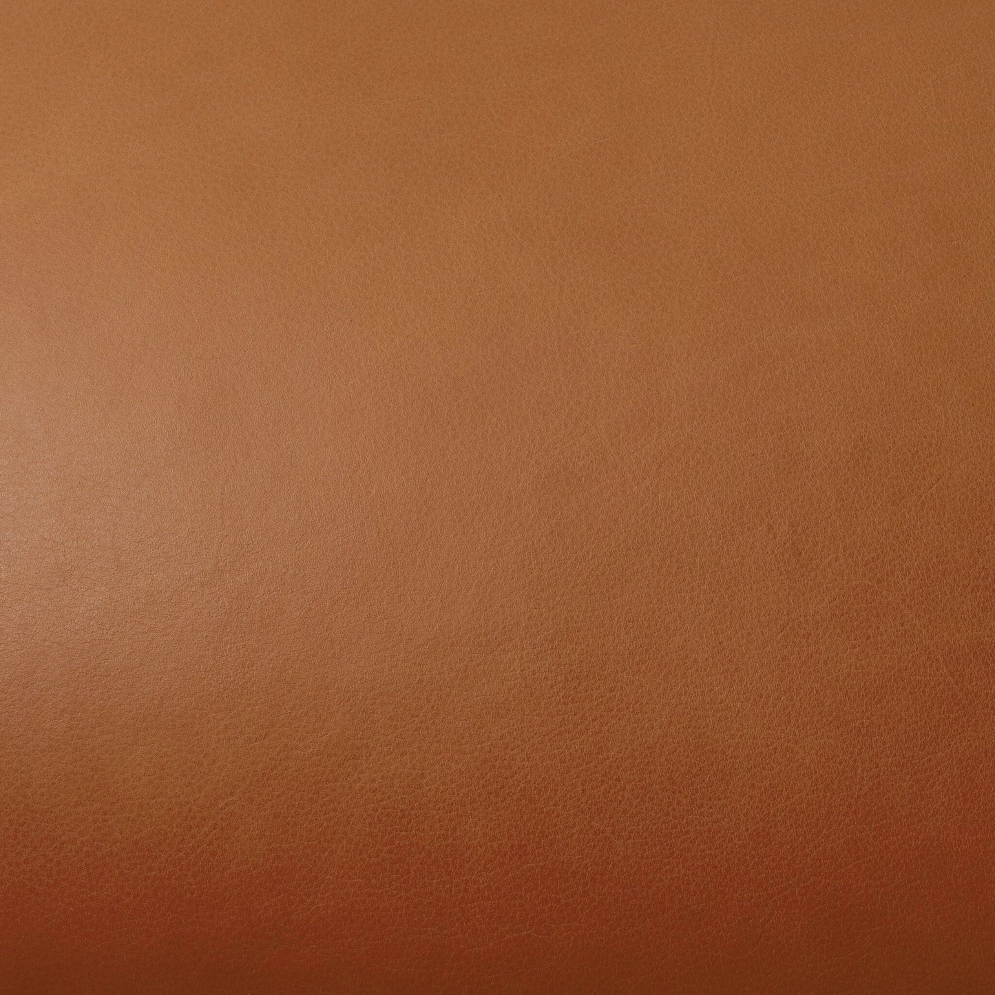006 SI-2158149 | Closeup | Eisley Chair by Four Hands. Made from top grain leather, solid parawood, poplar plywood in a modern style.