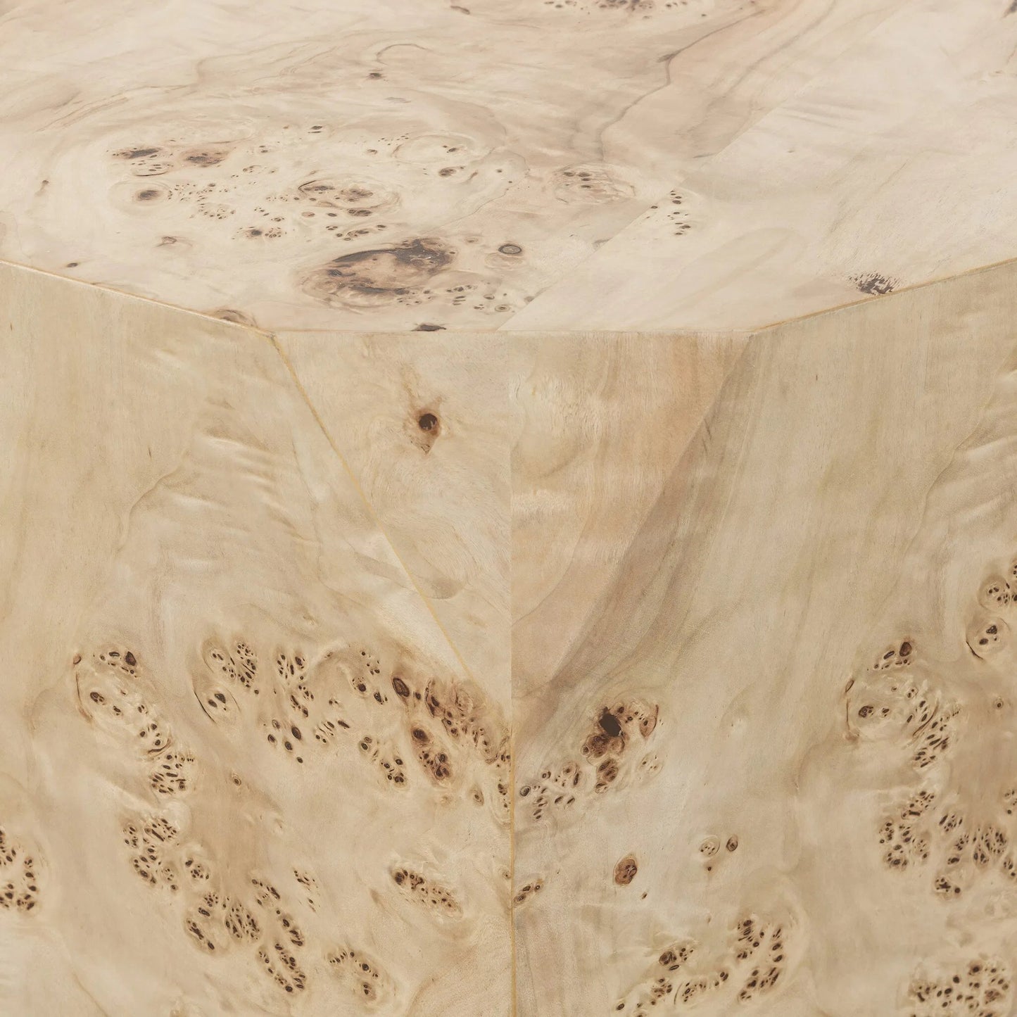 003 SI-2519157 | Closeup | Elena Coffee Table by Four Hands in light burl. Made from poplar burl veneer in a transitional style.