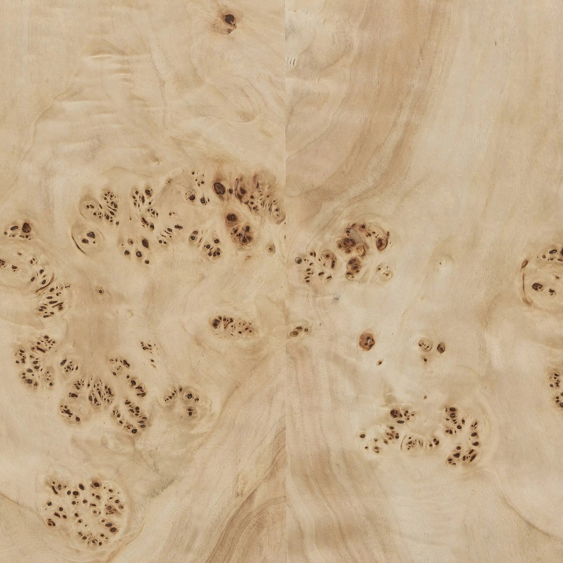 Elena Coffee Table by Four Hands in light burl. Made from poplar burl veneer in a transitional style.