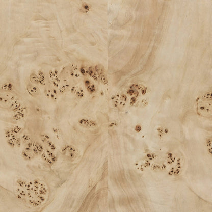 Elena Coffee Table by Four Hands in light burl. Made from poplar burl veneer in a transitional style.