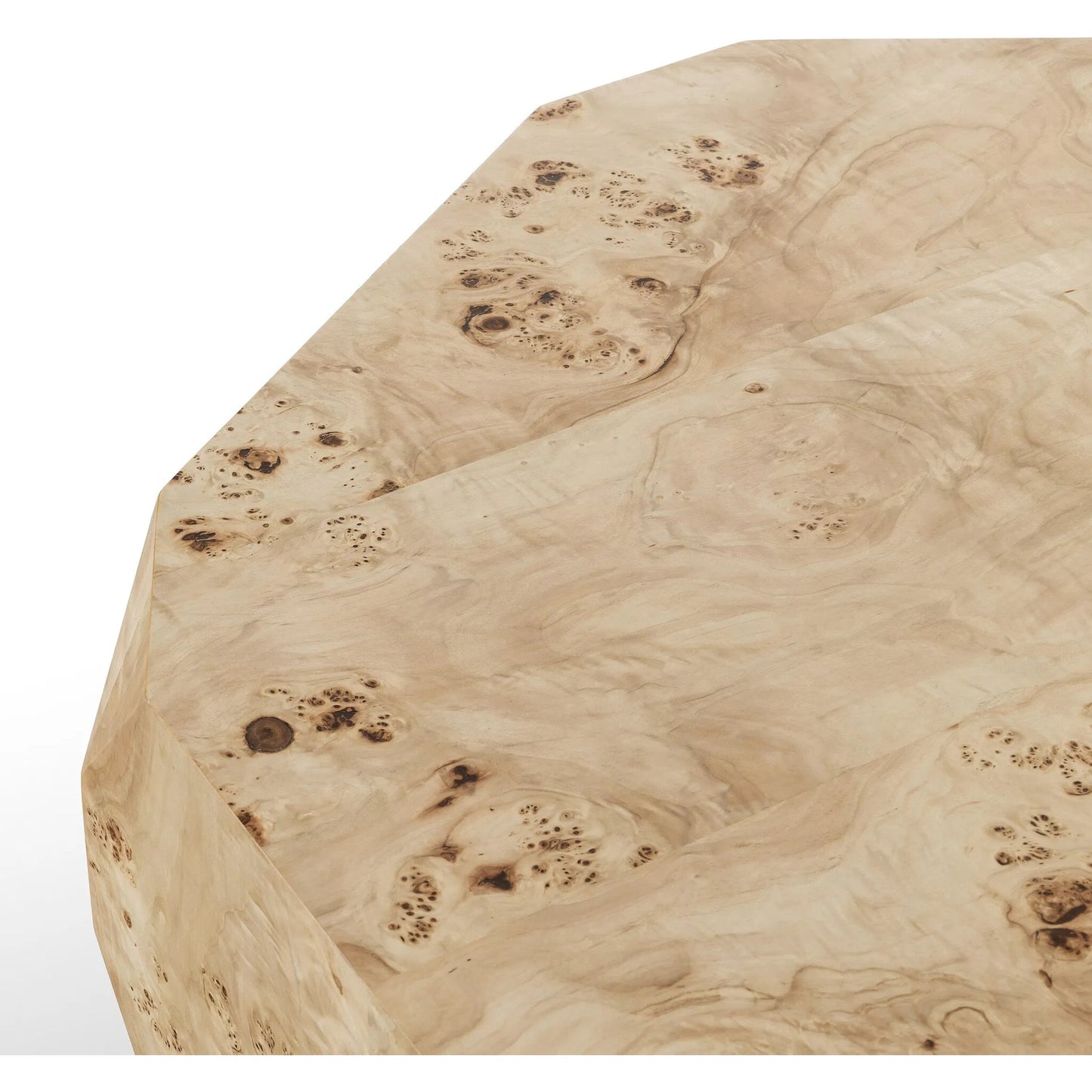 006 SI-2519157 | Closeup | Elena Coffee Table by Four Hands in light burl. Made from poplar burl veneer in a transitional style.