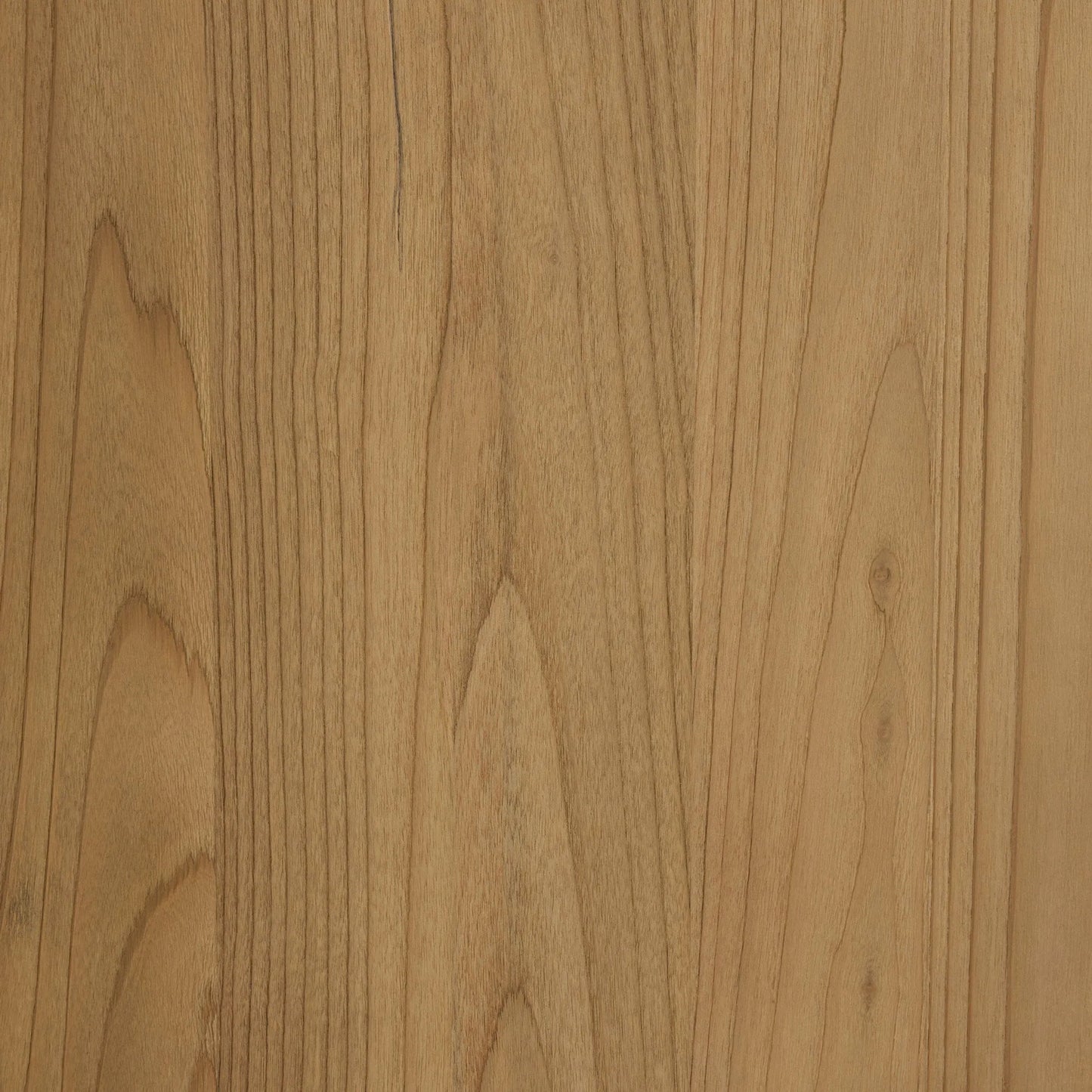 007 SI-2446640 | Closeup | Radius Sideboard by Four Hands in light blonde sungkai veneer. Made from thick sungkai veneer in a transitional style.