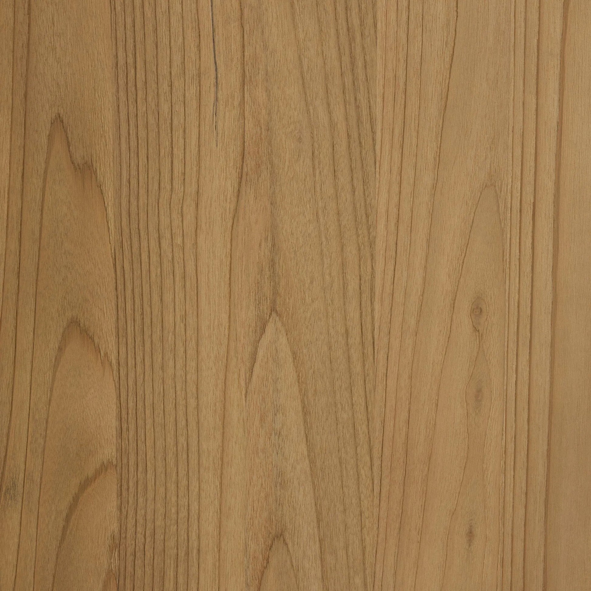 Radius Sideboard by Four Hands in light blonde sungkai veneer. Made from thick sungkai veneer in a transitional style.