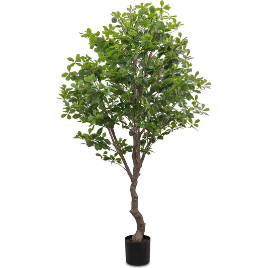 Faux Aralia Tree by Four Hands in faux aralia tree. Made from 55% polyvinyl chloride (pvc), 45% polyethylene in a unique style.
