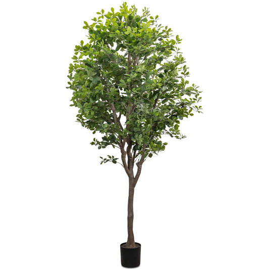 Faux Aralia Tree by Four Hands in faux aralia tree. Made from 55% polyvinyl chloride (pvc), 45% polyethylene in a unique style.