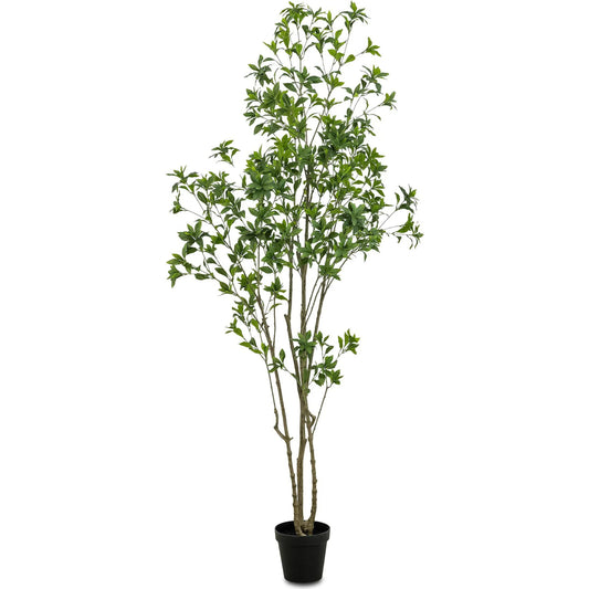 Faux Pieris Tree by Four Hands in faux pieris tree. Made from 55% polyvinyl chloride (pvc), 45% polyethylene in a unique style.