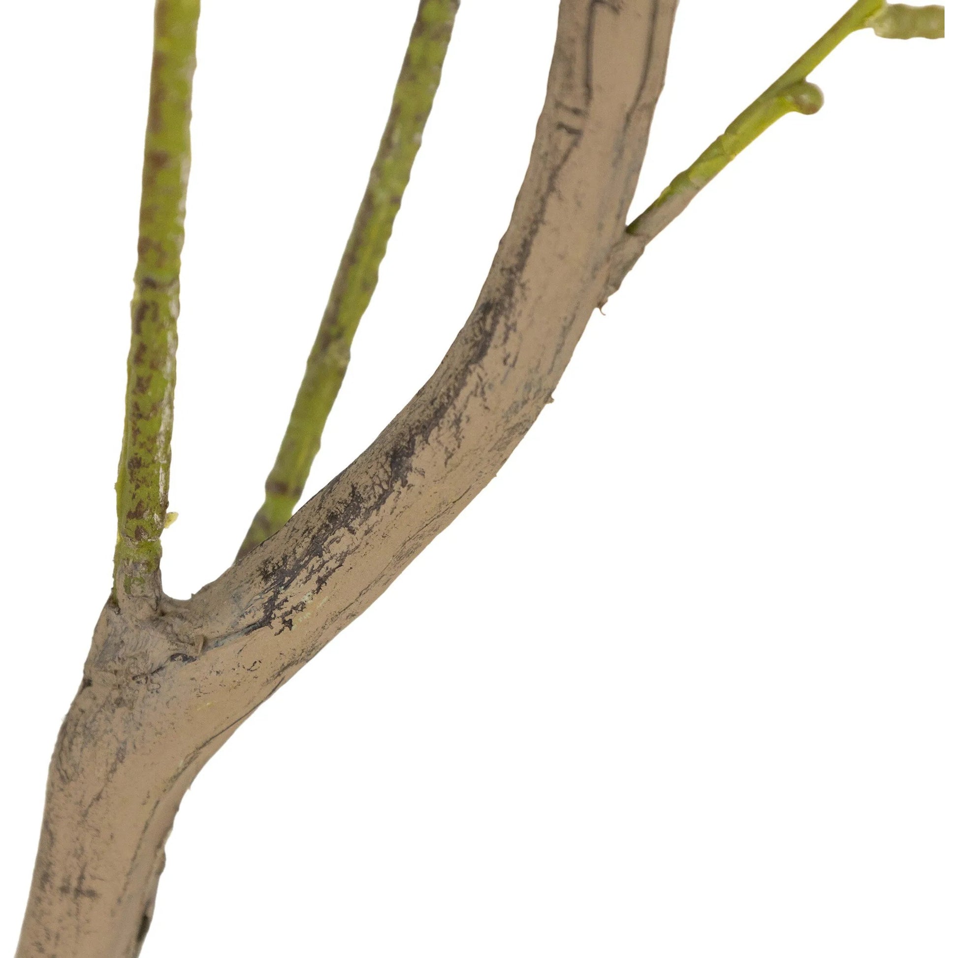 Faux Eucalyptus Tree by Four Hands in faux eucalyptus tree. Made from 55% polyvinyl chloride (pvc), 45% polyethylene in a cottage & farmhouse style.