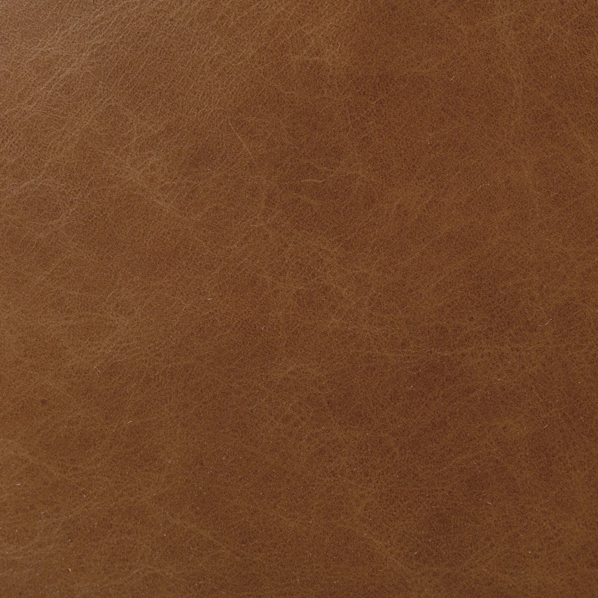 Lemmy Desk Chair by Four Hands in sonoma chestnut, brushed brass. Made from top grain leather, iron in a unique style.