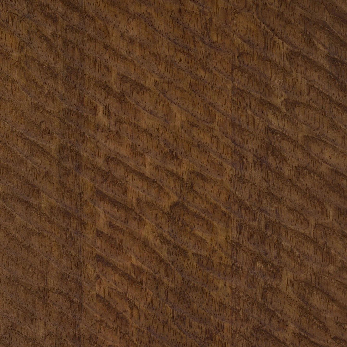 005 SI-2531669 | Closeup | Nella Coffee Table by Four Hands in warm chestnut, carved warm mango. Made from solid mango in a unique style.