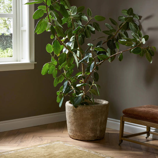 Aziel Planter by Four Hands in textured stone. Made from solid concrete in a unique style.