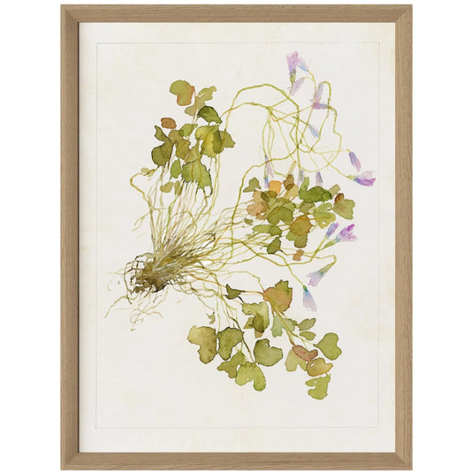 Oxalis Debilis No. 2 by Laurel-Dawn Latshaw by Four Hands. Made from textured fine art paper in a unique style.