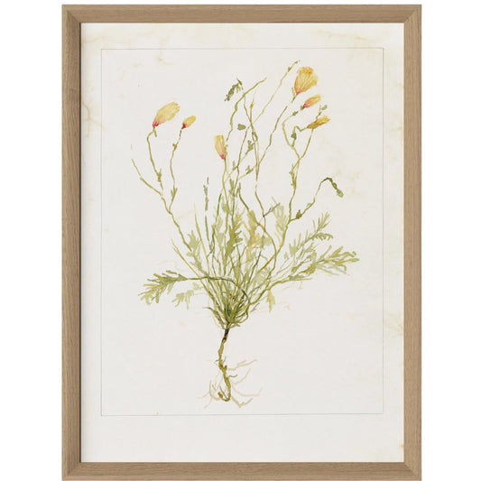 Papaveraceae No. 1 by Laurel-Dawn Latshaw by Four Hands. Made from textured fine art paper in a unique style.