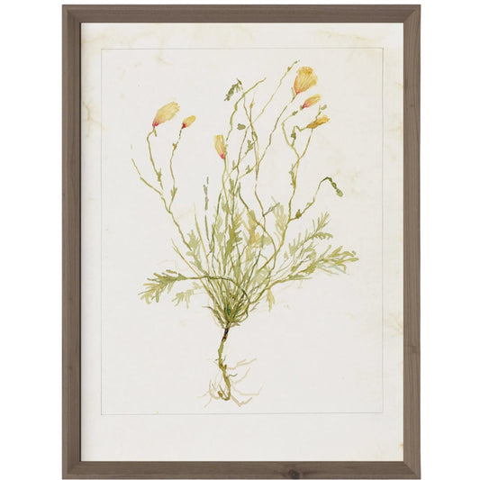Papaveraceae No. 1 by Laurel-Dawn Latshaw by Four Hands. Made from textured fine art paper in a unique style.