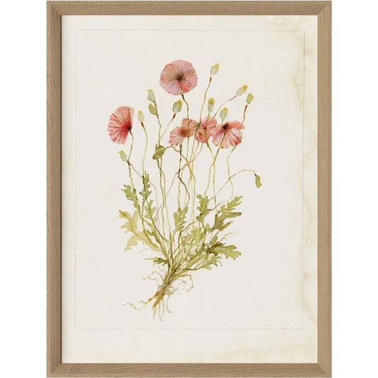 Papaveraceae No. 2 by Laurel-Dawn Latshaw by Four Hands. Made from textured fine art paper in a unique style.