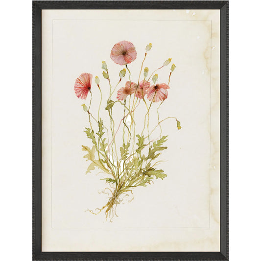 001 SI-2542182,SI-2542186,SI-2542187 | Primary Silo | Papaveraceae No. 2 by Laurel-Dawn Latshaw by Four Hands. Made from textured fine art paper in a unique style.