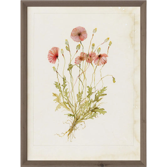 Papaveraceae No. 2 by Laurel-Dawn Latshaw by Four Hands. Made from textured fine art paper in a unique style.