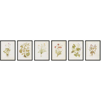 Herbarium Set by Laurel-Dawn Latshaw by Four Hands. Made from textured fine art paper in a unique style.