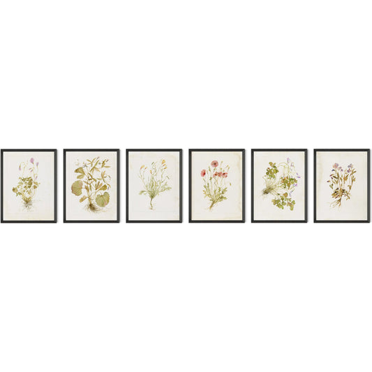 001 SI-2541908 | Primary Silo | Herbarium Set by Laurel-Dawn Latshaw by Four Hands. Made from textured fine art paper in a unique style.