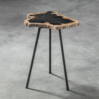 Mircea Petrified Wood Accent Table by Uttermost in wood. Made from 77% petrified wood, 20% plywood, 3% metal in a modern style.