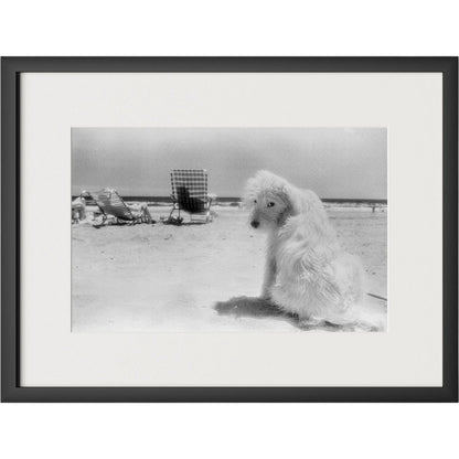 Lois At The Beach by Barbara Alper by Four Hands. Made from unique in a unique style.