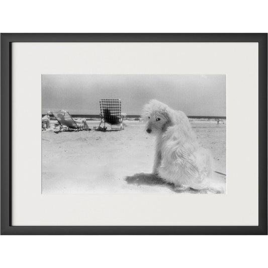 Lois At The Beach by Barbara Alper by Four Hands. Made from unique in a unique style.