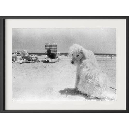 Lois At The Beach by Barbara Alper by Four Hands. Made from unique in a unique style.