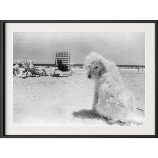 Lois At The Beach by Barbara Alper by Four Hands. Made from unique in a unique style.