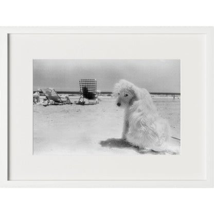 Lois At The Beach by Barbara Alper by Four Hands. Made from unique in a unique style.