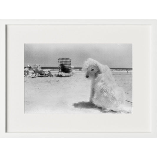 Lois At The Beach by Barbara Alper by Four Hands. Made from unique in a unique style.