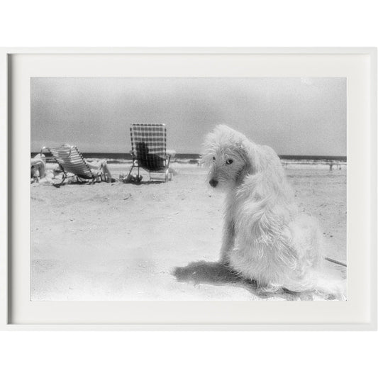 Lois At The Beach by Barbara Alper by Four Hands. Made from unique in a unique style.