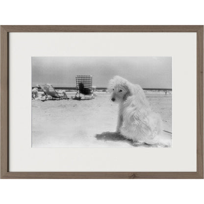 Lois At The Beach by Barbara Alper by Four Hands. Made from unique in a unique style.