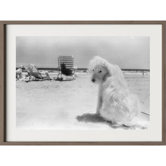 Lois At The Beach by Barbara Alper by Four Hands. Made from unique in a unique style.