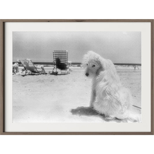 Lois At The Beach by Barbara Alper by Four Hands. Made from unique in a unique style.