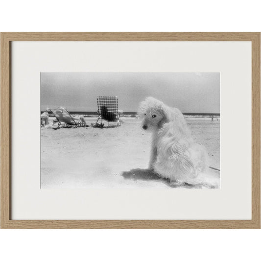 Lois At The Beach by Barbara Alper by Four Hands. Made from unique in a unique style.